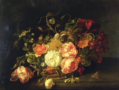 Fiori e Insetti, 1711 da Rachel Ruysch